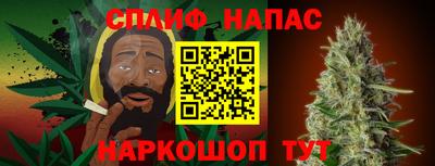гидра Нальчик