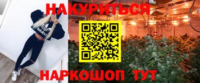 гидра Нальчик