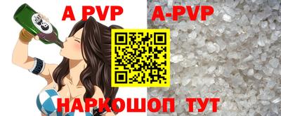 гидра Нальчик