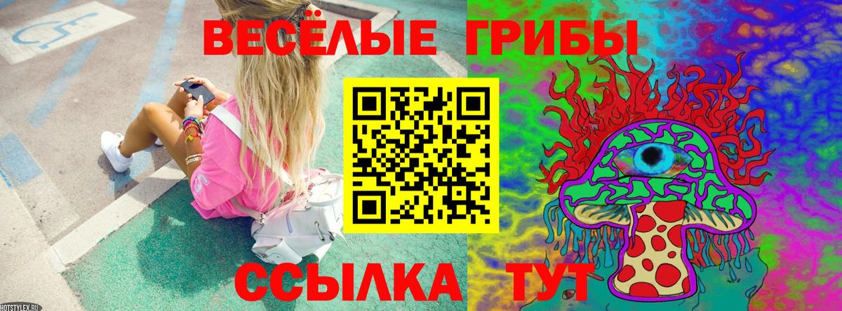 Псилоцибиновые грибы прущие грибы  Вход с VPN  Урус-Мартан 